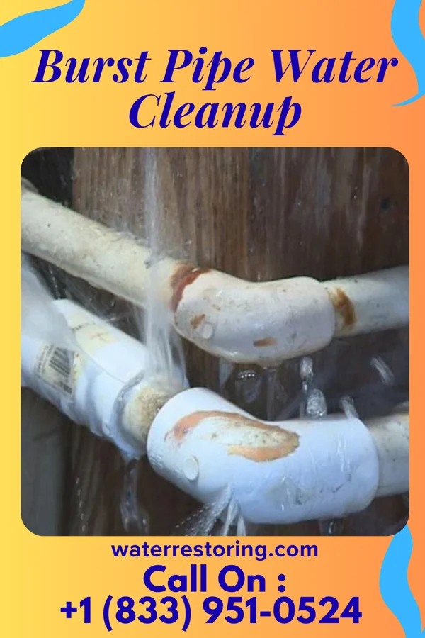 Burst Pipe Water Cleanup in Wightmans Grove, OH