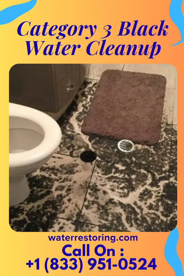 Category 3 Black Water Cleanup in Wightmans Grove, OH