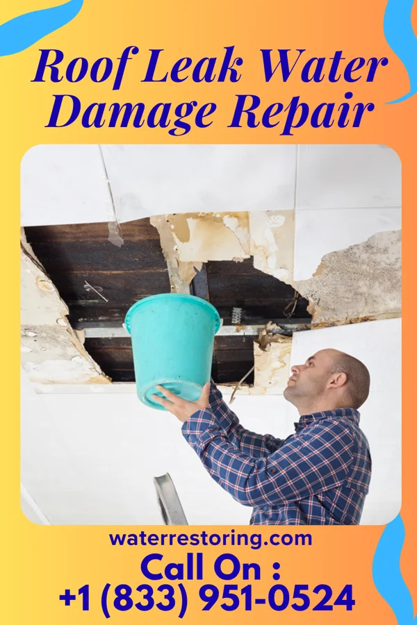 Roof Leak Water Damage Repair in Wightmans Grove, OH