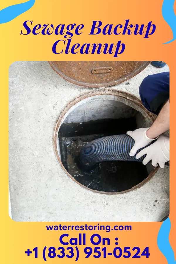 Sewage Backup Cleanup in Wightmans Grove, OH